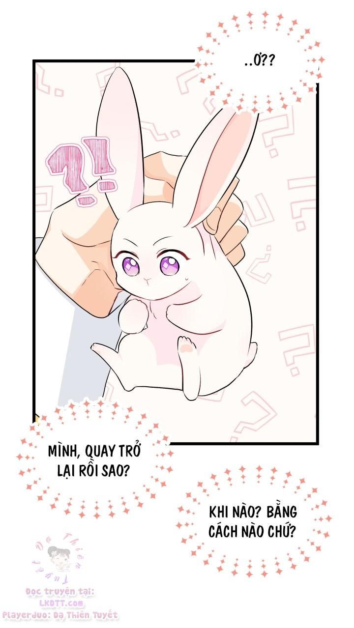 đọc truyện Mối Quan Hệ Cộng Sinh Giữa Báo Đen Và Thỏ Trắng Chương 21 ảnh 20 tại Thiên Thai Truyện