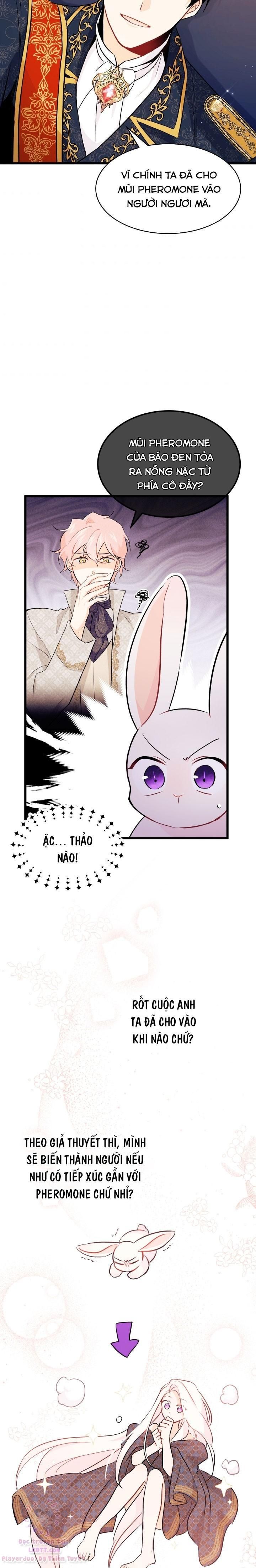 đọc truyện Mối Quan Hệ Cộng Sinh Giữa Báo Đen Và Thỏ Trắng Chương 22 ảnh 14 tại Thiên Thai Truyện