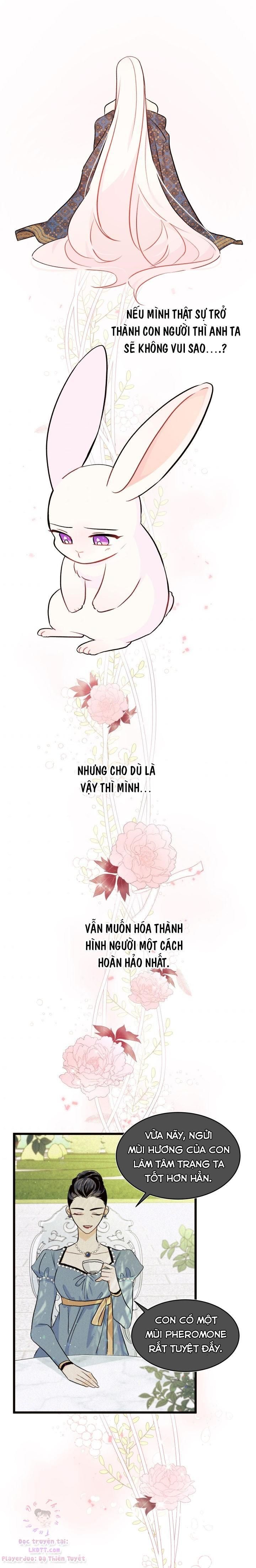 đọc truyện Mối Quan Hệ Cộng Sinh Giữa Báo Đen Và Thỏ Trắng Chương 22 ảnh 21 tại Thiên Thai Truyện