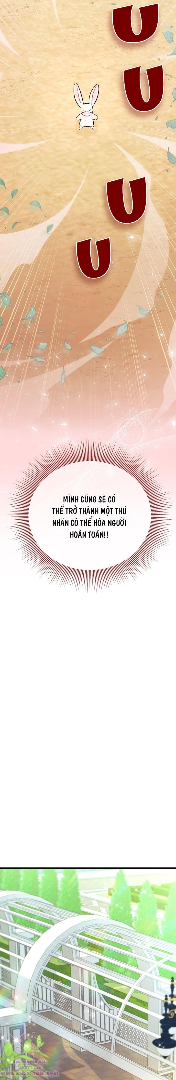 đọc truyện Mối Quan Hệ Cộng Sinh Giữa Báo Đen Và Thỏ Trắng Chương 22 ảnh 24 tại Thiên Thai Truyện