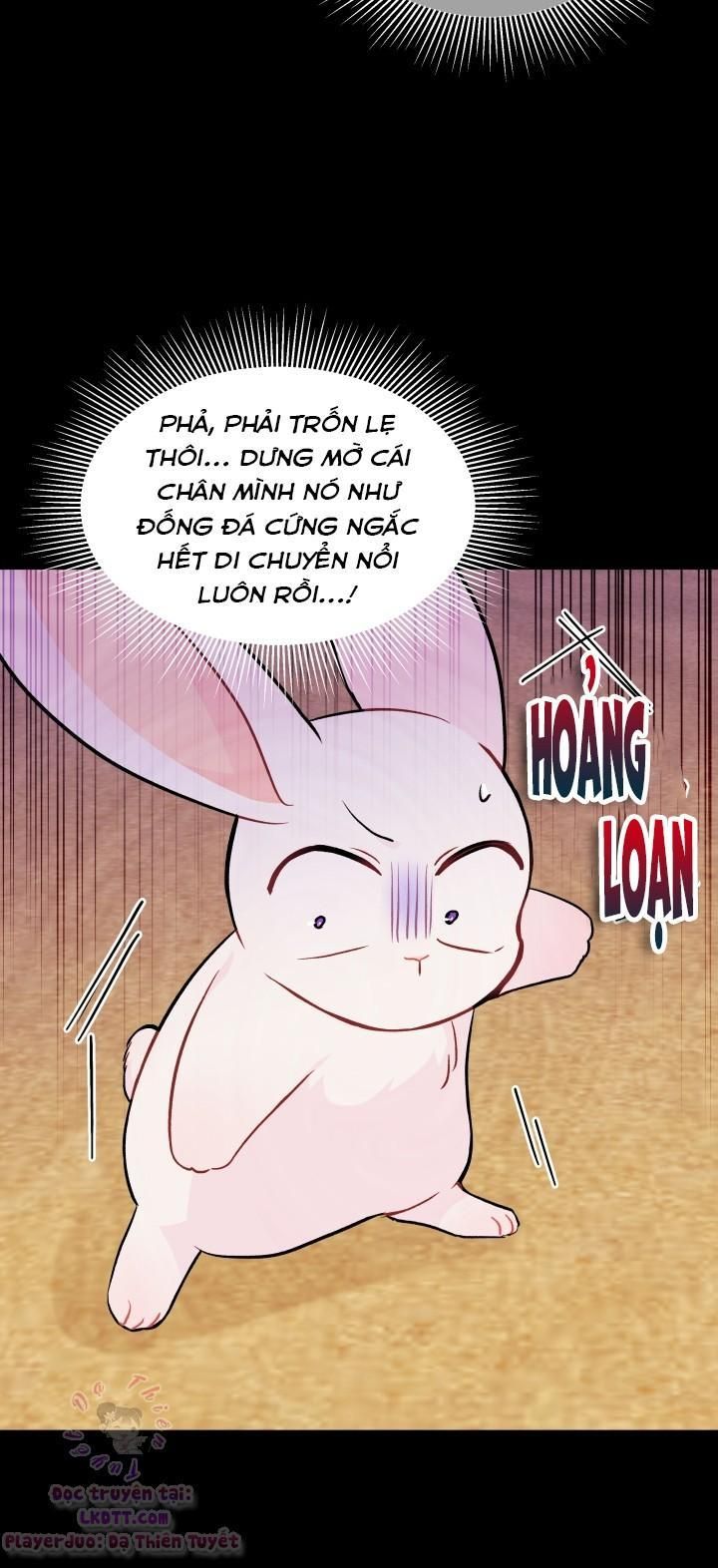 đọc truyện Mối Quan Hệ Cộng Sinh Giữa Báo Đen Và Thỏ Trắng Chương 23 ảnh 17 tại Thiên Thai Truyện
