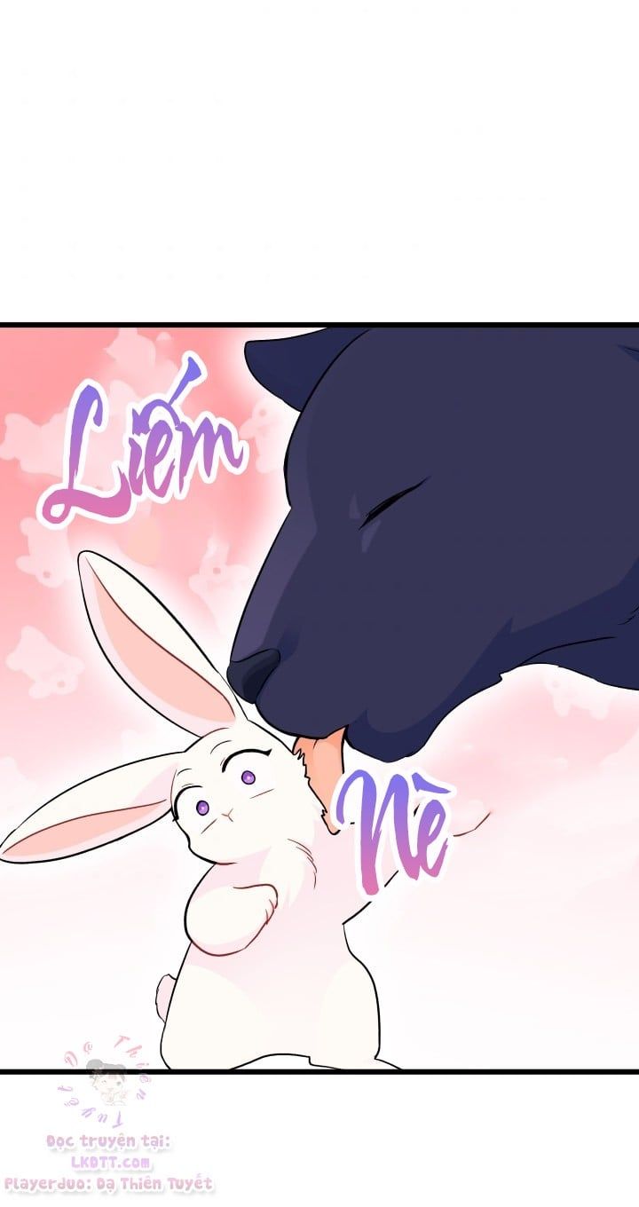 đọc truyện Mối Quan Hệ Cộng Sinh Giữa Báo Đen Và Thỏ Trắng Chương 23 ảnh 24 tại Thiên Thai Truyện