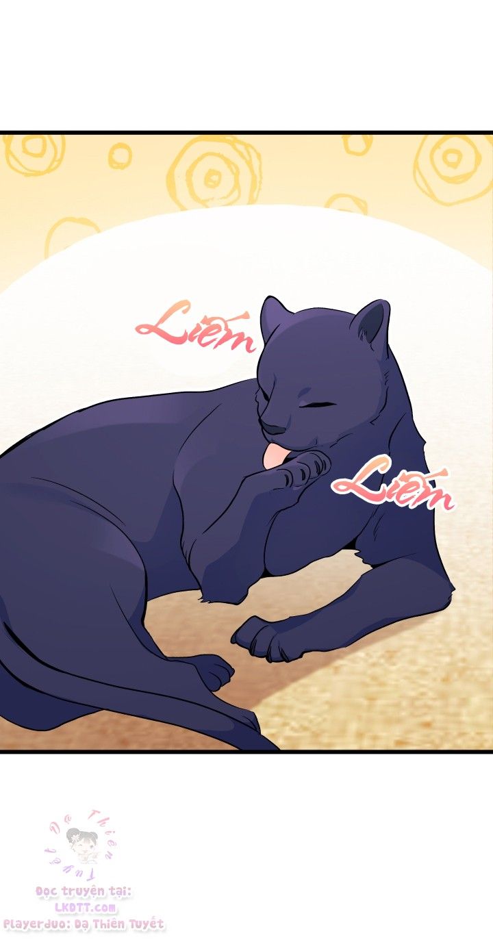 đọc truyện Mối Quan Hệ Cộng Sinh Giữa Báo Đen Và Thỏ Trắng Chương 23 ảnh 28 tại Thiên Thai Truyện