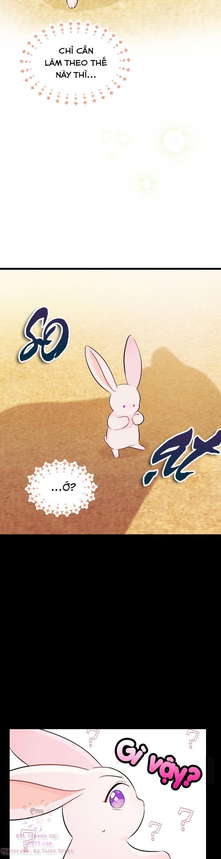 đọc truyện Mối Quan Hệ Cộng Sinh Giữa Báo Đen Và Thỏ Trắng Chương 23 ảnh 10 tại Thiên Thai Truyện