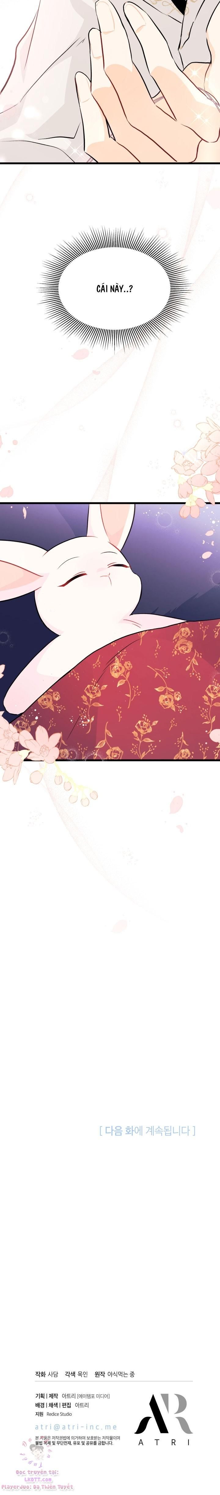 đọc truyện Mối Quan Hệ Cộng Sinh Giữa Báo Đen Và Thỏ Trắng Chương 24 ảnh 32 tại Thiên Thai Truyện