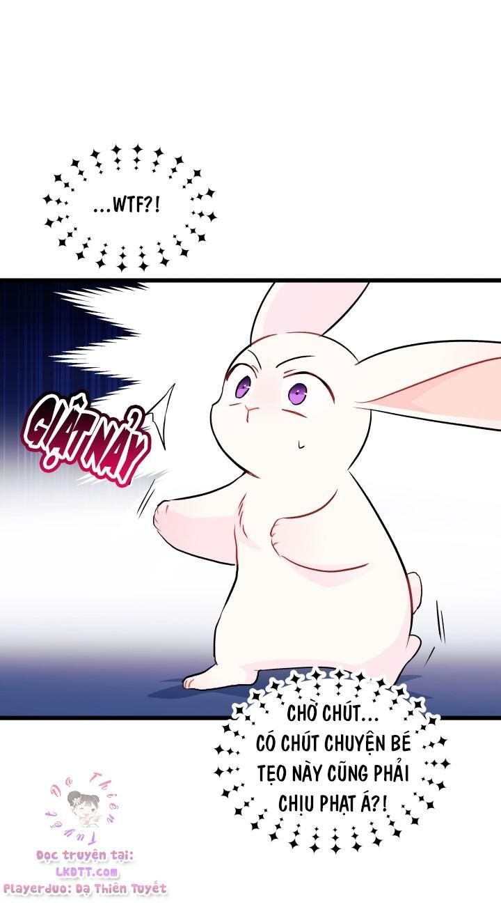 đọc truyện Mối Quan Hệ Cộng Sinh Giữa Báo Đen Và Thỏ Trắng Chương 25 ảnh 27 tại Thiên Thai Truyện