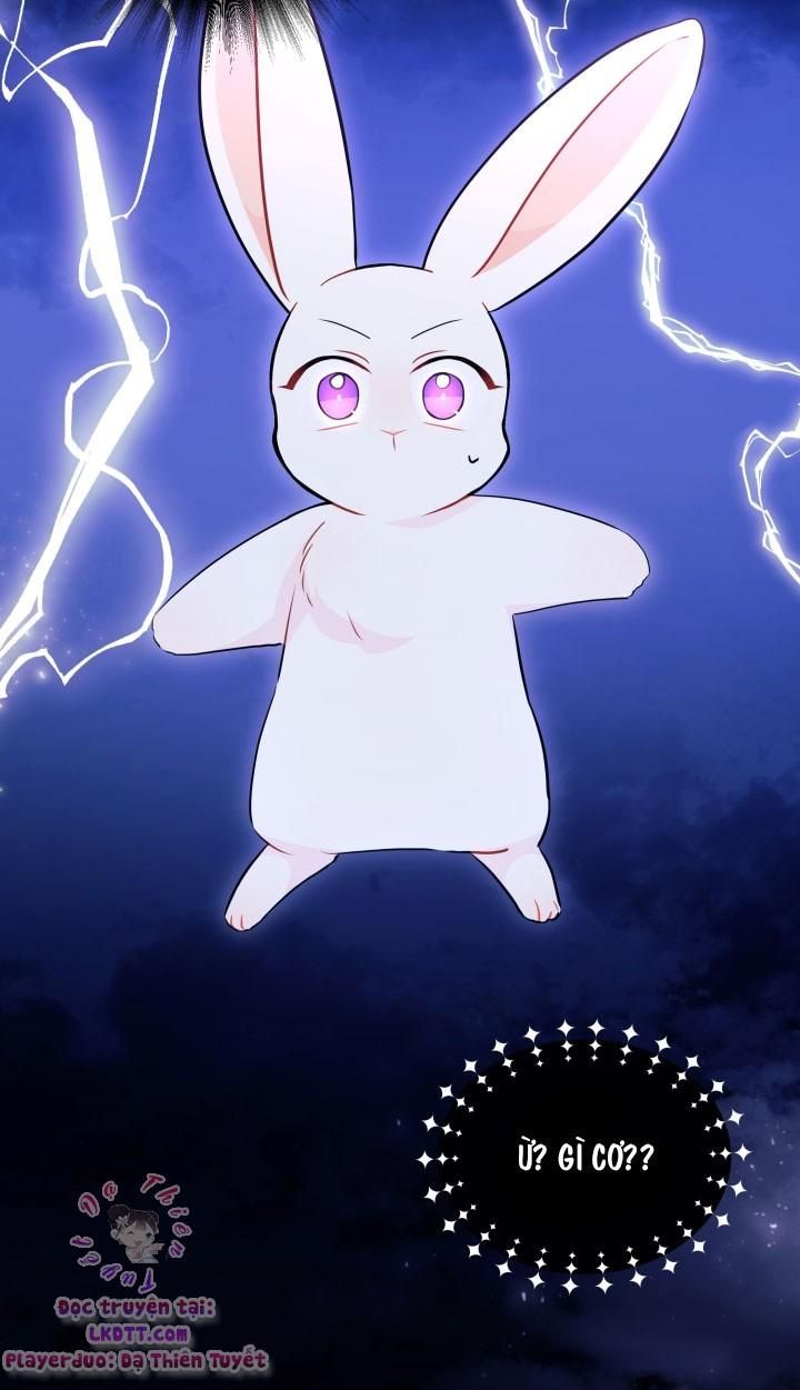 đọc truyện Mối Quan Hệ Cộng Sinh Giữa Báo Đen Và Thỏ Trắng Chương 25 ảnh 9 tại Thiên Thai Truyện