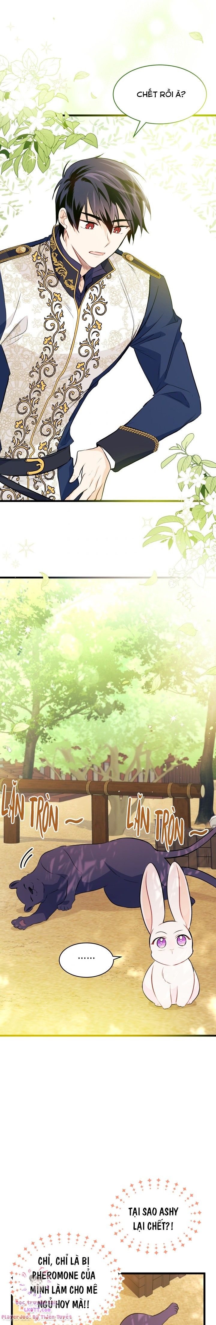 đọc truyện Mối Quan Hệ Cộng Sinh Giữa Báo Đen Và Thỏ Trắng Chương 26 ảnh 16 tại Thiên Thai Truyện