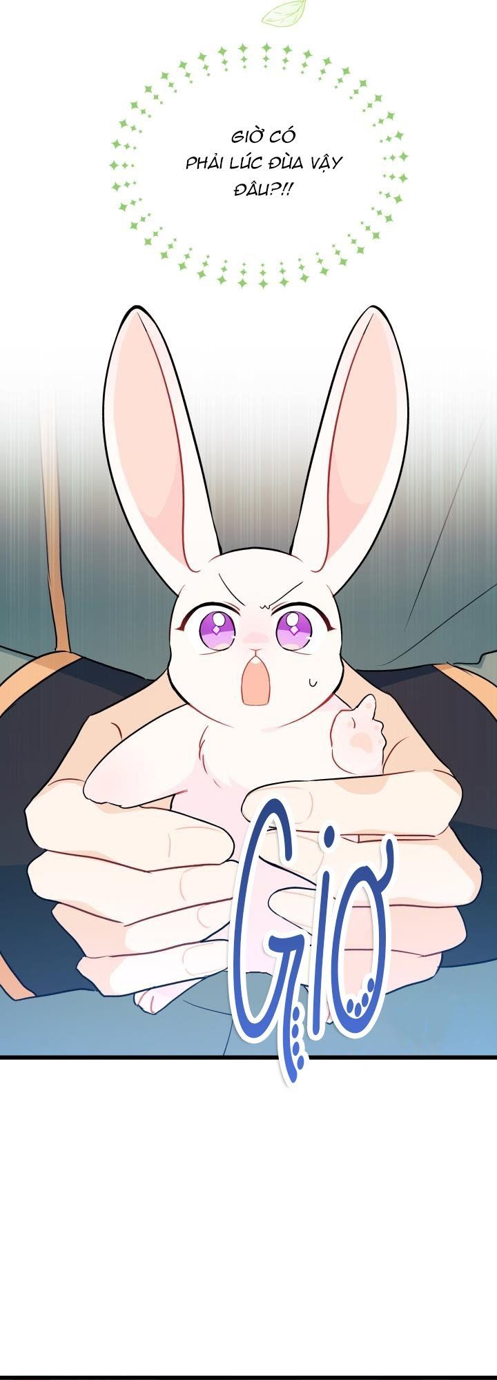 đọc truyện Mối Quan Hệ Cộng Sinh Giữa Báo Đen Và Thỏ Trắng Chương 27 ảnh 30 tại Thiên Thai Truyện