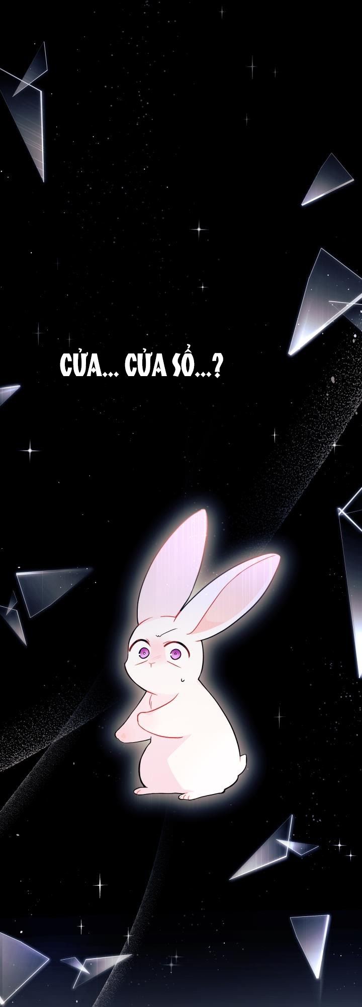 đọc truyện Mối Quan Hệ Cộng Sinh Giữa Báo Đen Và Thỏ Trắng Chương 27 ảnh 39 tại Thiên Thai Truyện