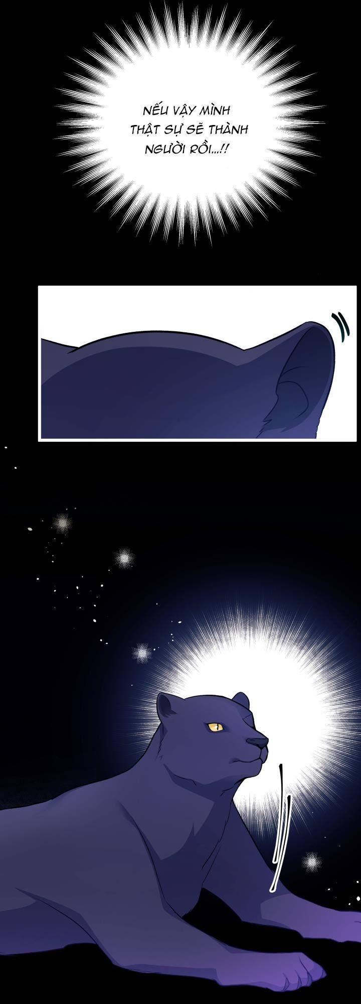 đọc truyện Mối Quan Hệ Cộng Sinh Giữa Báo Đen Và Thỏ Trắng Chương 27 ảnh 55 tại Thiên Thai Truyện