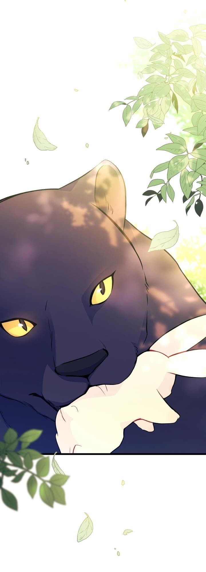 đọc truyện Mối Quan Hệ Cộng Sinh Giữa Báo Đen Và Thỏ Trắng Chương 27 ảnh 62 tại Thiên Thai Truyện