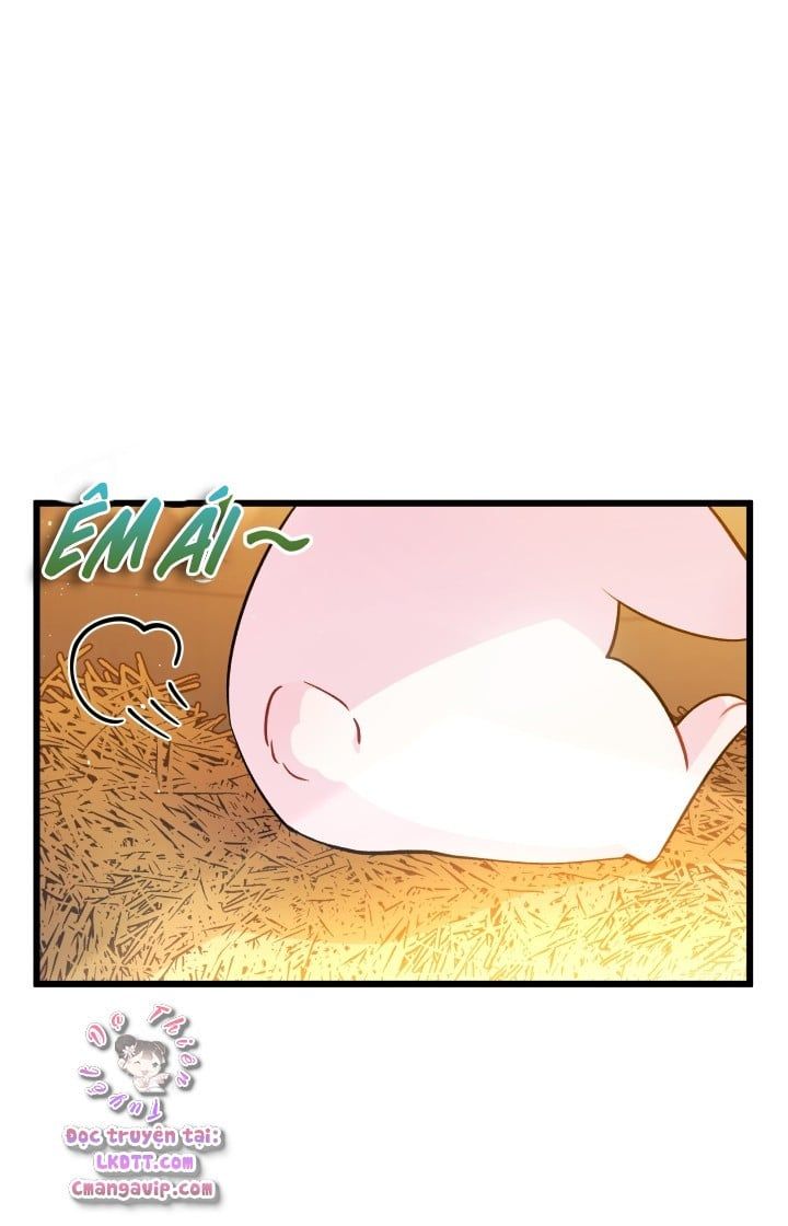 đọc truyện Mối Quan Hệ Cộng Sinh Giữa Báo Đen Và Thỏ Trắng Chương 28 ảnh 13 tại Thiên Thai Truyện