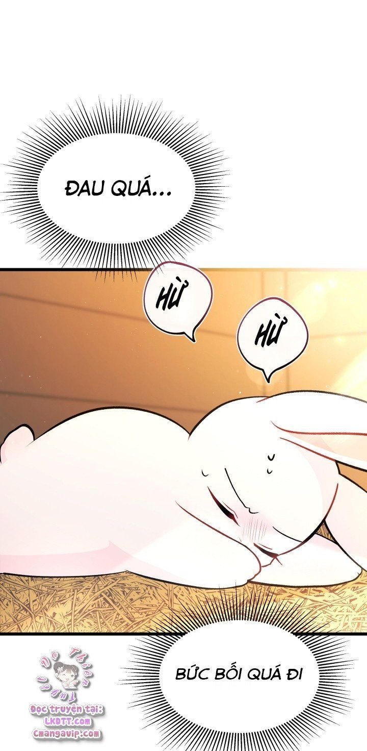 đọc truyện Mối Quan Hệ Cộng Sinh Giữa Báo Đen Và Thỏ Trắng Chương 28 ảnh 14 tại Thiên Thai Truyện