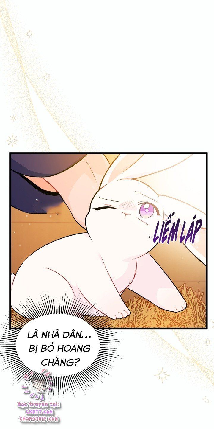 đọc truyện Mối Quan Hệ Cộng Sinh Giữa Báo Đen Và Thỏ Trắng Chương 28 ảnh 17 tại Thiên Thai Truyện