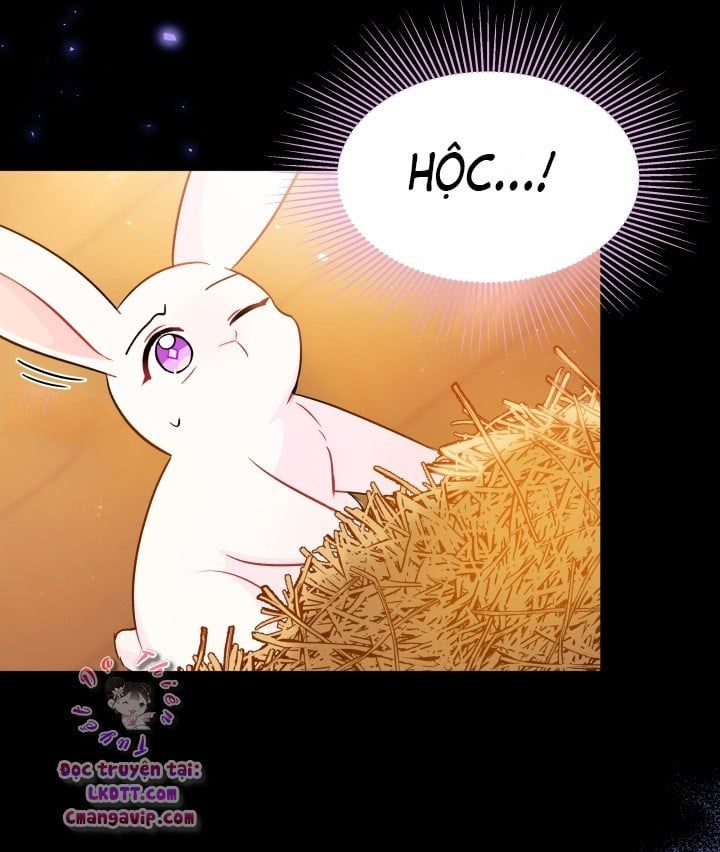 đọc truyện Mối Quan Hệ Cộng Sinh Giữa Báo Đen Và Thỏ Trắng Chương 28 ảnh 21 tại Thiên Thai Truyện