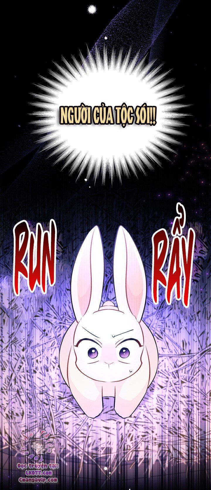 đọc truyện Mối Quan Hệ Cộng Sinh Giữa Báo Đen Và Thỏ Trắng Chương 28 ảnh 27 tại Thiên Thai Truyện