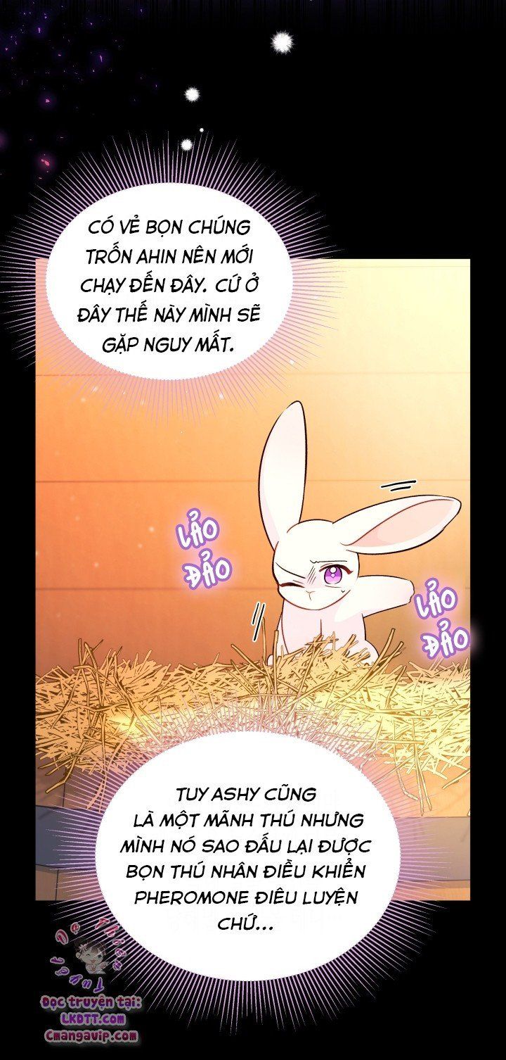 đọc truyện Mối Quan Hệ Cộng Sinh Giữa Báo Đen Và Thỏ Trắng Chương 28 ảnh 28 tại Thiên Thai Truyện