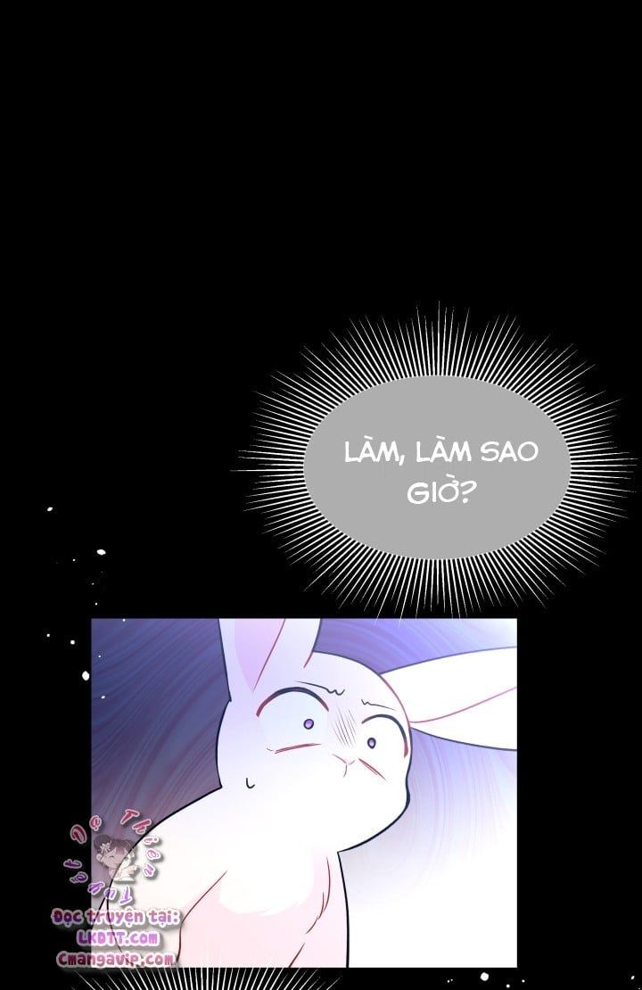 đọc truyện Mối Quan Hệ Cộng Sinh Giữa Báo Đen Và Thỏ Trắng Chương 28 ảnh 34 tại Thiên Thai Truyện