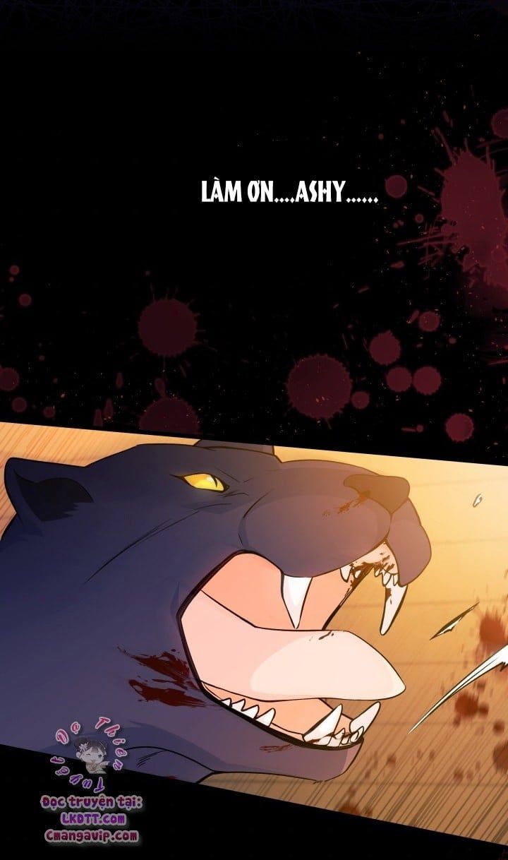 đọc truyện Mối Quan Hệ Cộng Sinh Giữa Báo Đen Và Thỏ Trắng Chương 28 ảnh 47 tại Thiên Thai Truyện