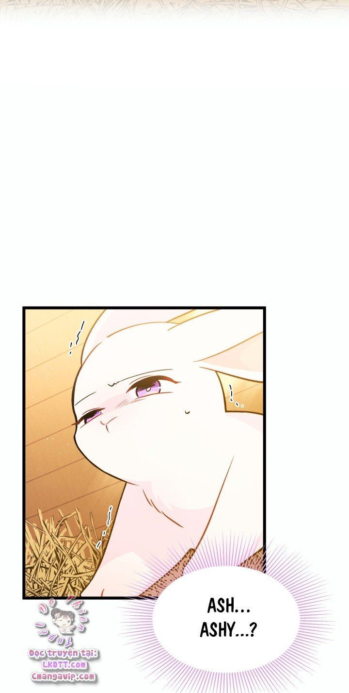 đọc truyện Mối Quan Hệ Cộng Sinh Giữa Báo Đen Và Thỏ Trắng Chương 28 ảnh 61 tại Thiên Thai Truyện