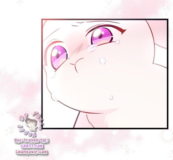 đọc truyện Mối Quan Hệ Cộng Sinh Giữa Báo Đen Và Thỏ Trắng Chương 28 ảnh 65 tại Thiên Thai Truyện