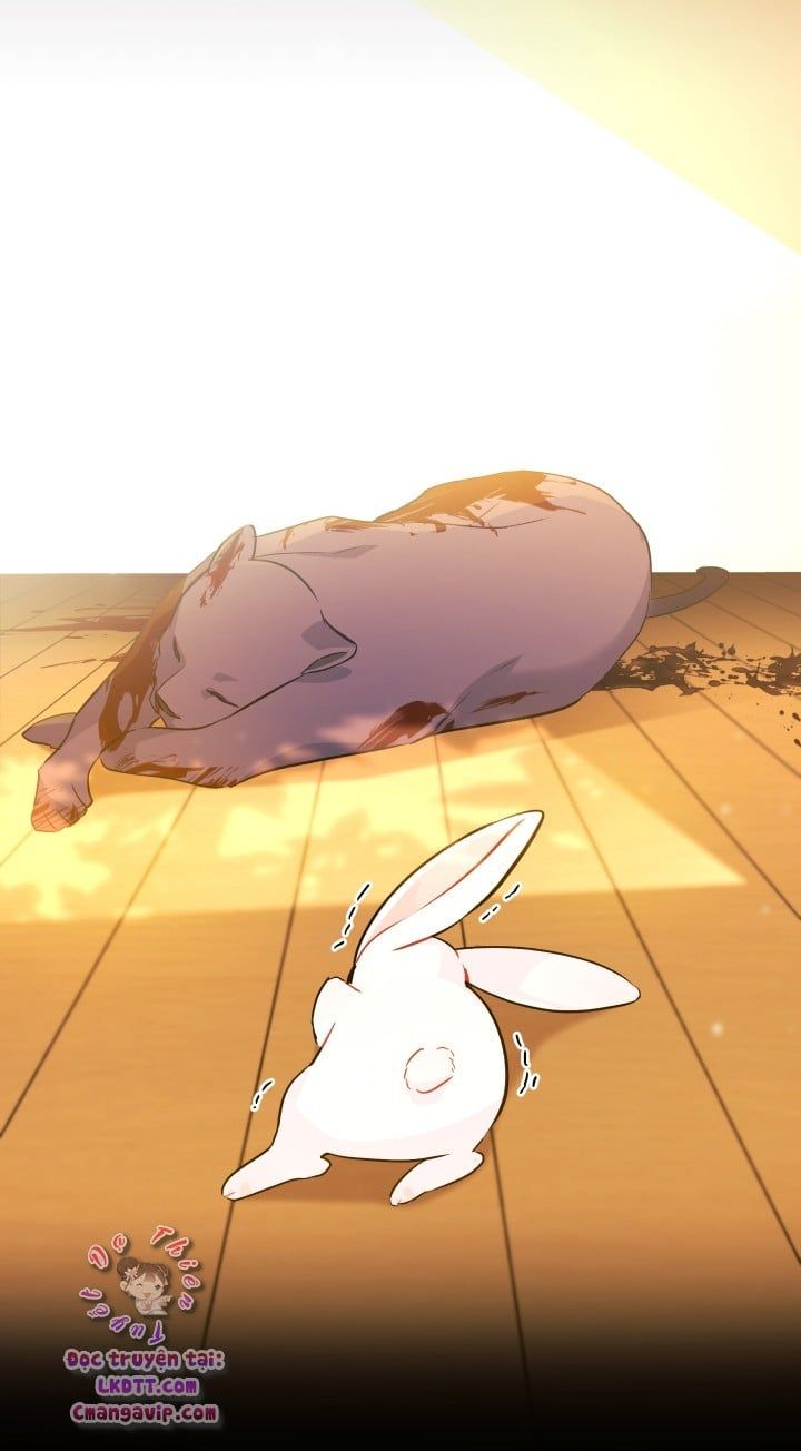 đọc truyện Mối Quan Hệ Cộng Sinh Giữa Báo Đen Và Thỏ Trắng Chương 28 ảnh 68 tại Thiên Thai Truyện