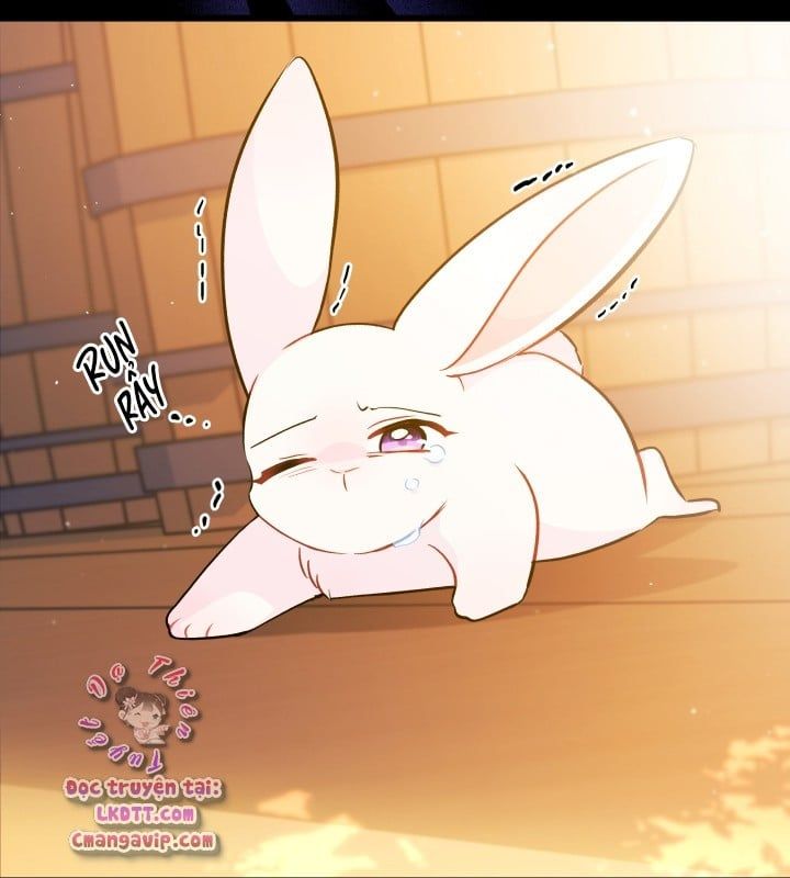 đọc truyện Mối Quan Hệ Cộng Sinh Giữa Báo Đen Và Thỏ Trắng Chương 28 ảnh 70 tại Thiên Thai Truyện