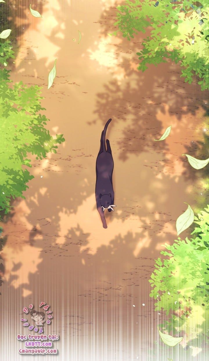 đọc truyện Mối Quan Hệ Cộng Sinh Giữa Báo Đen Và Thỏ Trắng Chương 28 ảnh 10 tại Thiên Thai Truyện