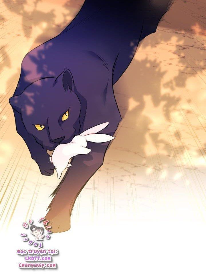 đọc truyện Mối Quan Hệ Cộng Sinh Giữa Báo Đen Và Thỏ Trắng Chương 29 ảnh 48 tại Thiên Thai Truyện