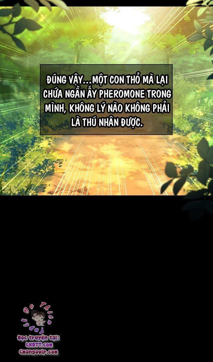 đọc truyện Mối Quan Hệ Cộng Sinh Giữa Báo Đen Và Thỏ Trắng Chương 29 ảnh 67 tại Thiên Thai Truyện