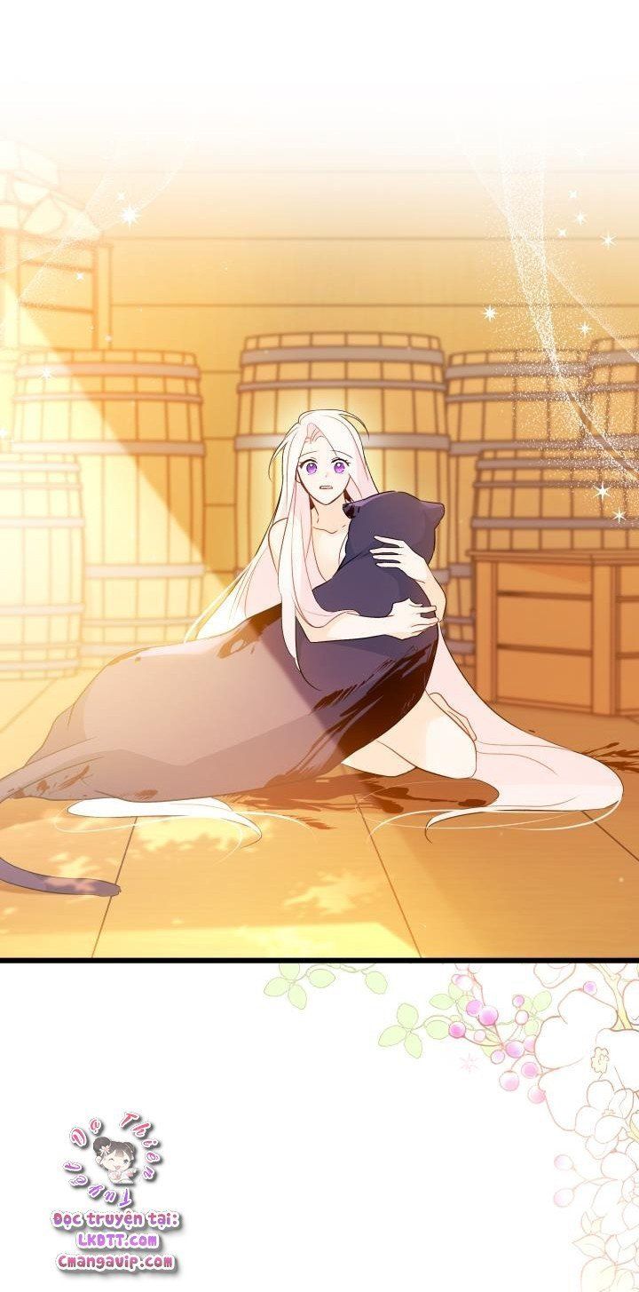 đọc truyện Mối Quan Hệ Cộng Sinh Giữa Báo Đen Và Thỏ Trắng Chương 29 ảnh 83 tại Thiên Thai Truyện