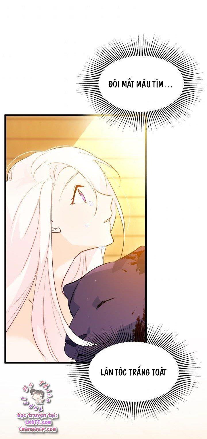 đọc truyện Mối Quan Hệ Cộng Sinh Giữa Báo Đen Và Thỏ Trắng Chương 29 ảnh 87 tại Thiên Thai Truyện