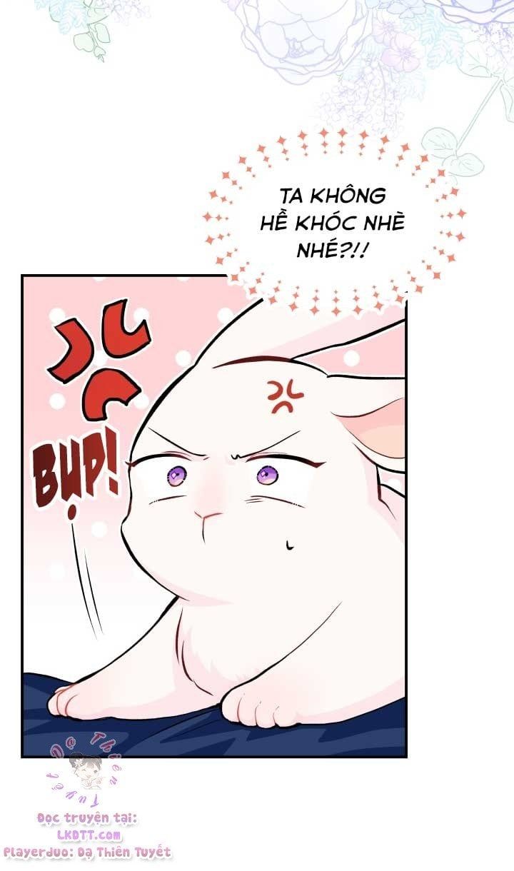 đọc truyện Mối Quan Hệ Cộng Sinh Giữa Báo Đen Và Thỏ Trắng Chương 3 ảnh 13 tại Thiên Thai Truyện