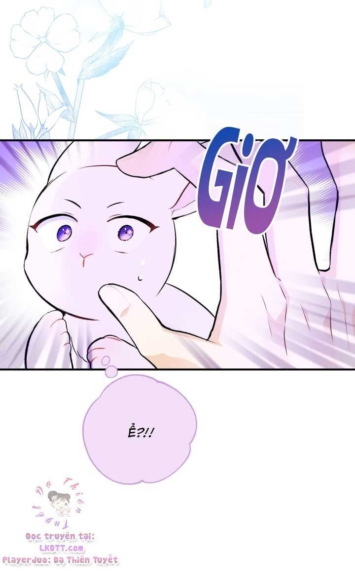 đọc truyện Mối Quan Hệ Cộng Sinh Giữa Báo Đen Và Thỏ Trắng Chương 3 ảnh 29 tại Thiên Thai Truyện