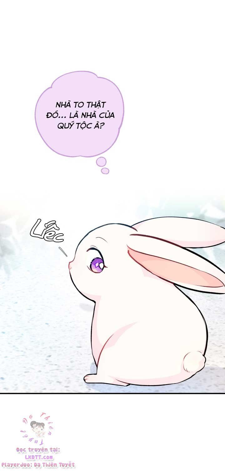 đọc truyện Mối Quan Hệ Cộng Sinh Giữa Báo Đen Và Thỏ Trắng Chương 3 ảnh 46 tại Thiên Thai Truyện