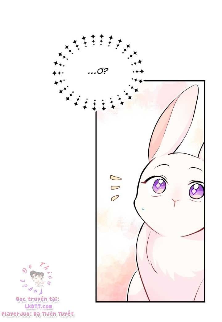 đọc truyện Mối Quan Hệ Cộng Sinh Giữa Báo Đen Và Thỏ Trắng Chương 3 ảnh 49 tại Thiên Thai Truyện