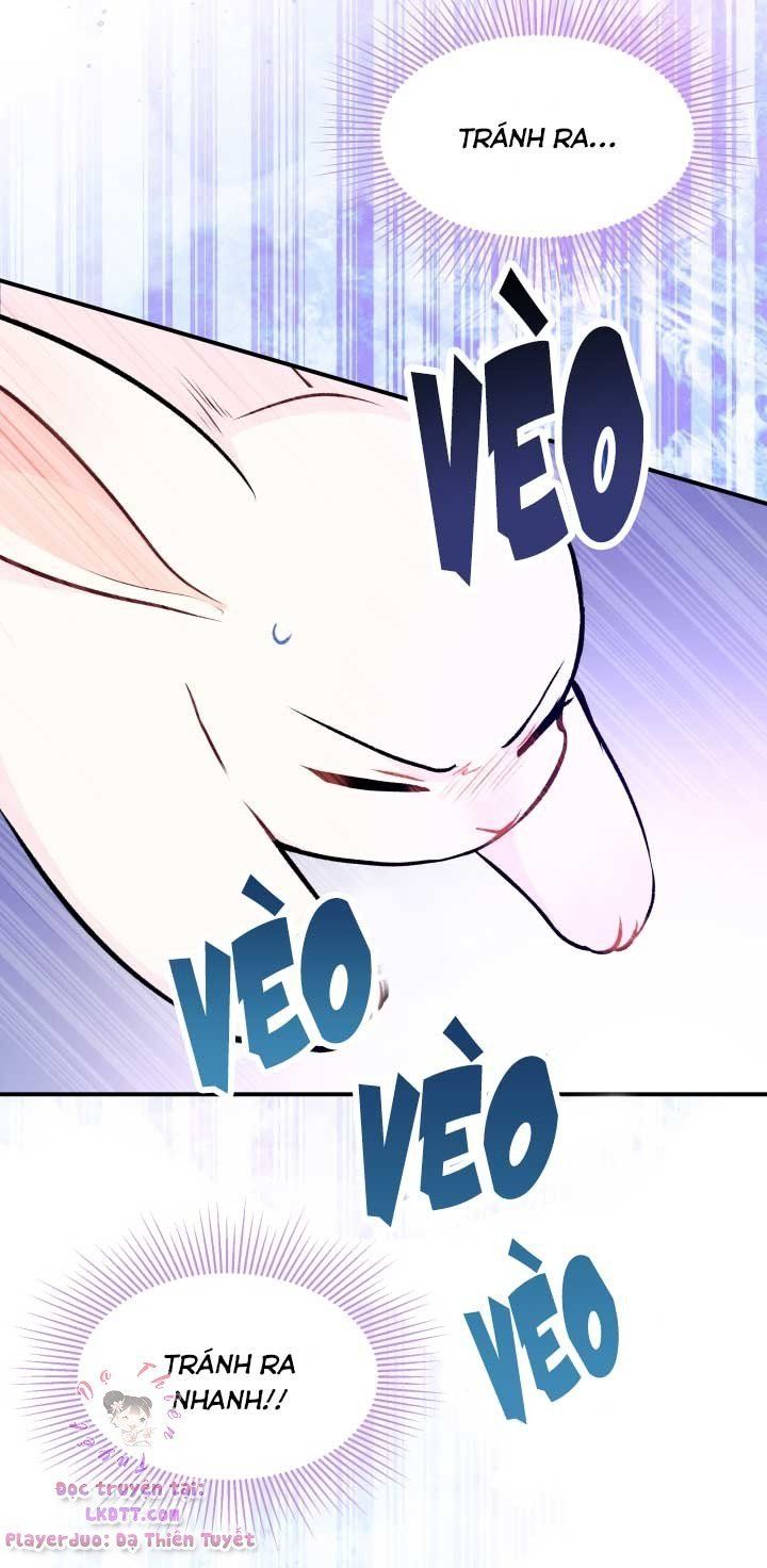 đọc truyện Mối Quan Hệ Cộng Sinh Giữa Báo Đen Và Thỏ Trắng Chương 3 ảnh 58 tại Thiên Thai Truyện