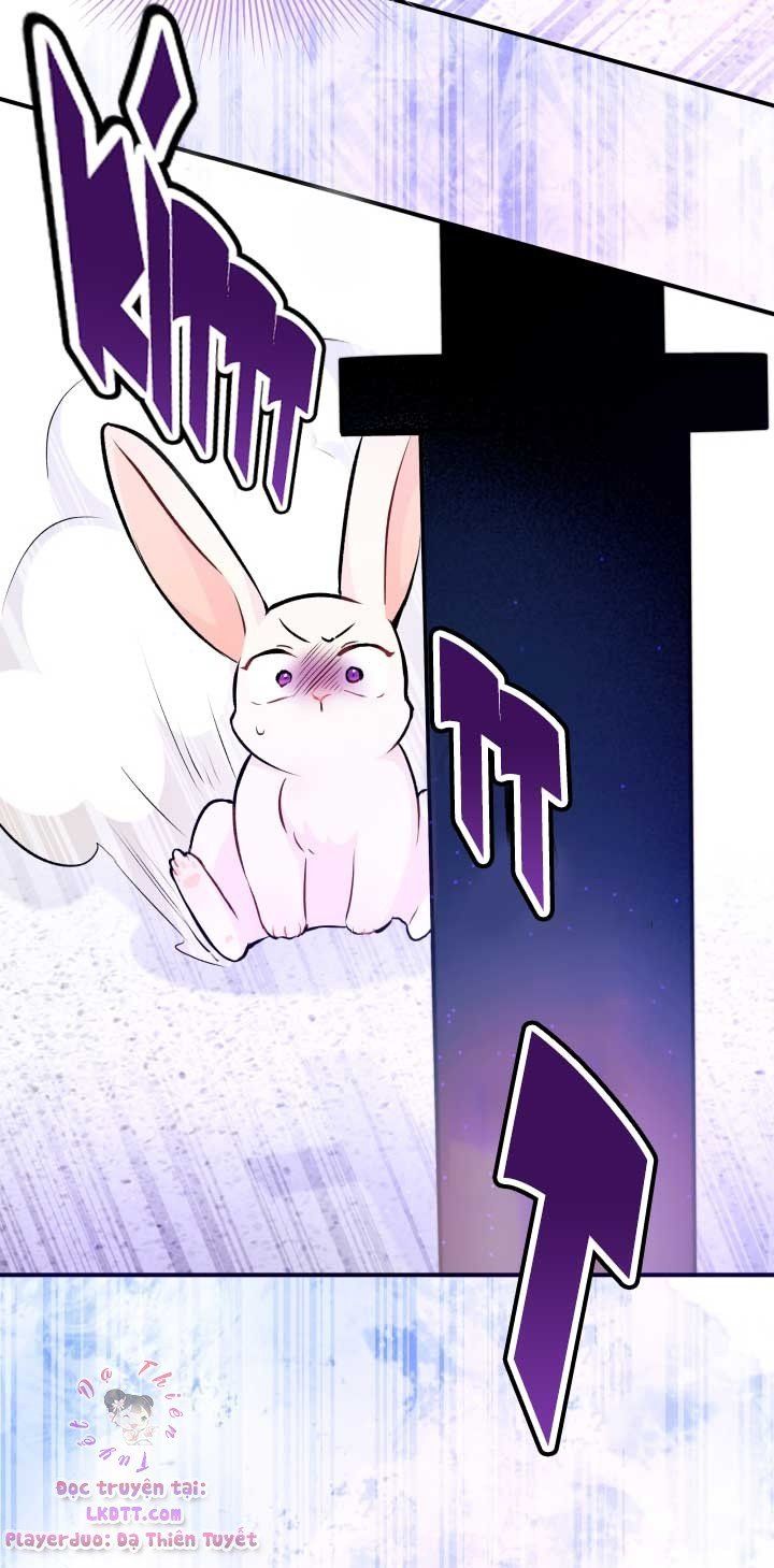 đọc truyện Mối Quan Hệ Cộng Sinh Giữa Báo Đen Và Thỏ Trắng Chương 3 ảnh 62 tại Thiên Thai Truyện