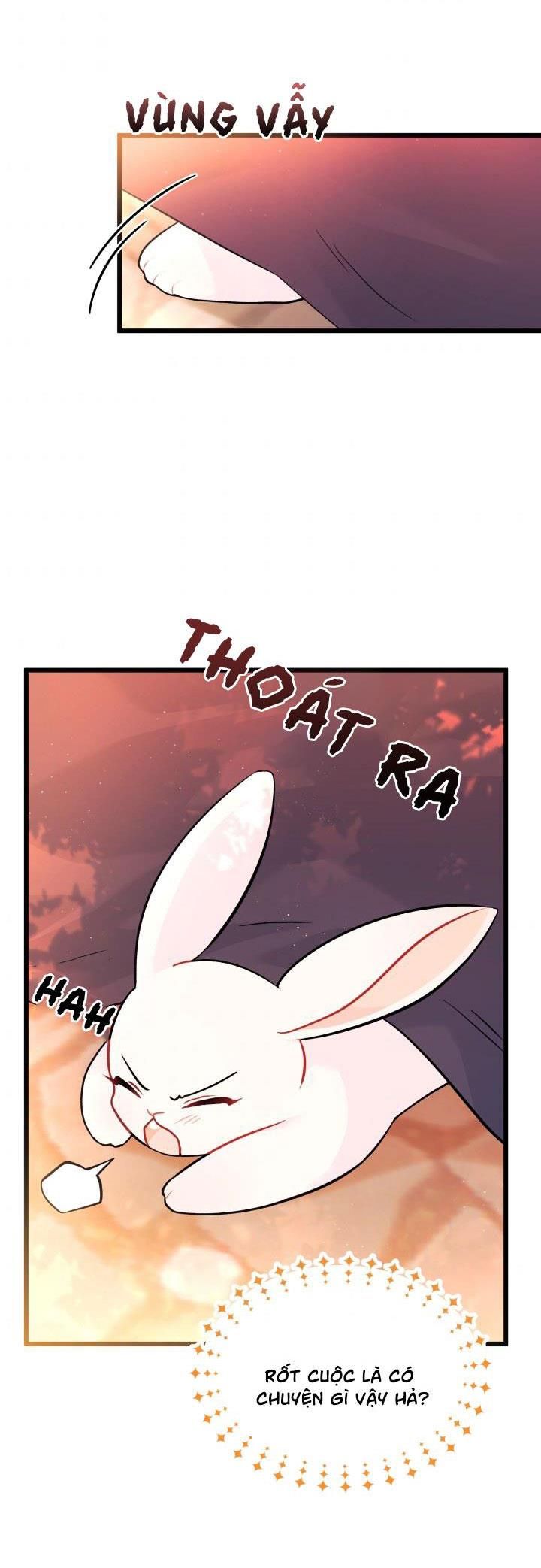 đọc truyện Mối Quan Hệ Cộng Sinh Giữa Báo Đen Và Thỏ Trắng Chương 33.2 ảnh 6 tại Thiên Thai Truyện