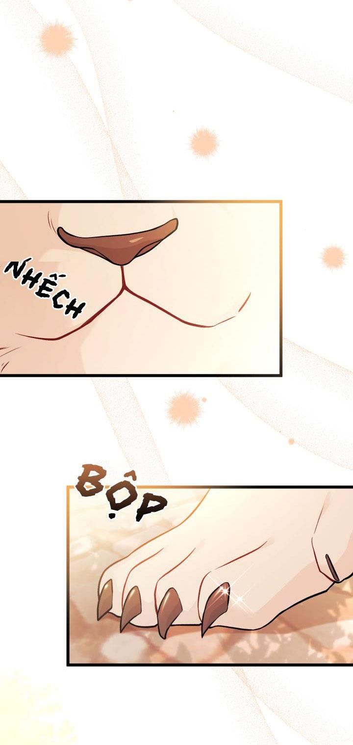 đọc truyện Mối Quan Hệ Cộng Sinh Giữa Báo Đen Và Thỏ Trắng Chương 33.2 ảnh 9 tại Thiên Thai Truyện