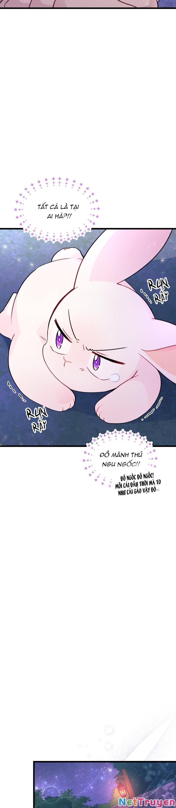 đọc truyện Mối Quan Hệ Cộng Sinh Giữa Báo Đen Và Thỏ Trắng Chương 34 ảnh 21 tại Thiên Thai Truyện