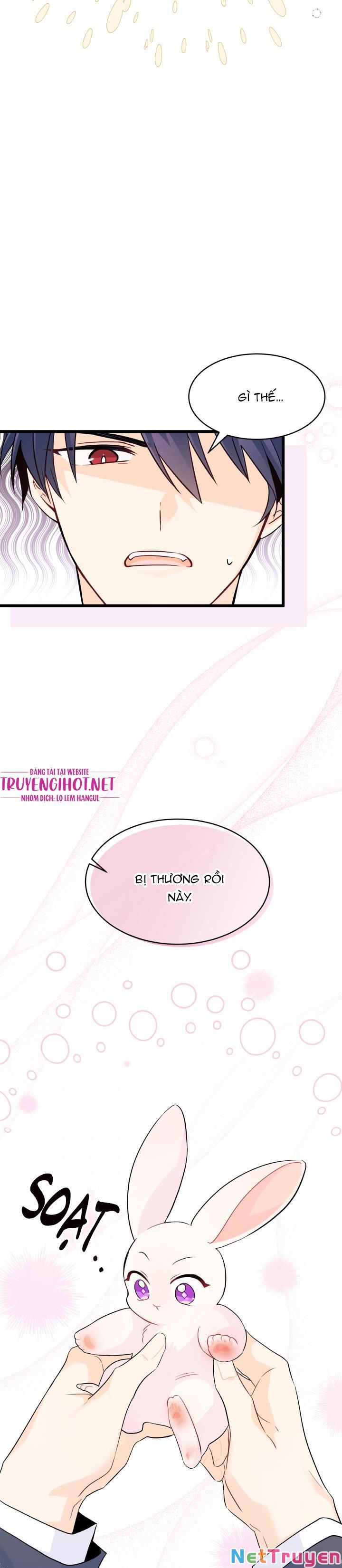 đọc truyện Mối Quan Hệ Cộng Sinh Giữa Báo Đen Và Thỏ Trắng Chương 34 ảnh 26 tại Thiên Thai Truyện