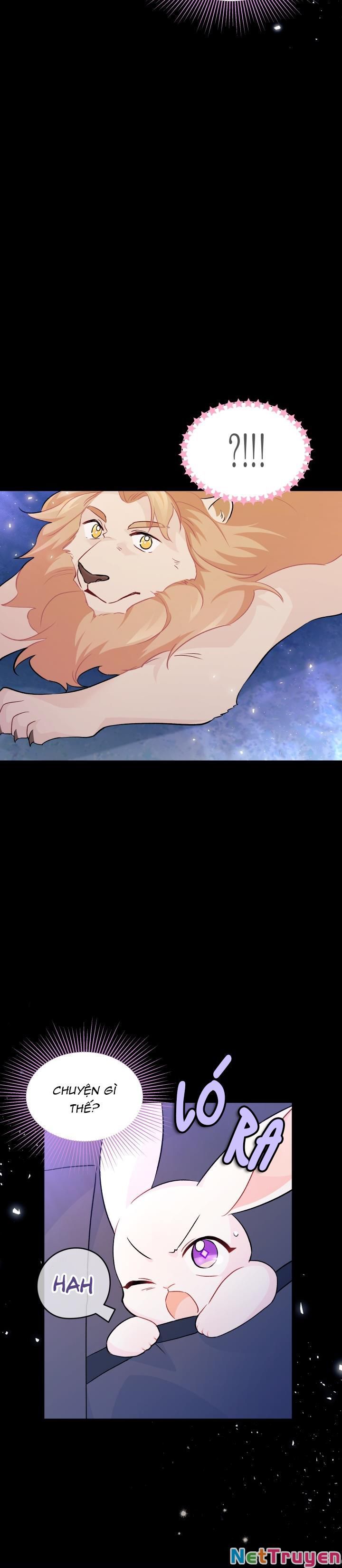 đọc truyện Mối Quan Hệ Cộng Sinh Giữa Báo Đen Và Thỏ Trắng Chương 34 ảnh 34 tại Thiên Thai Truyện