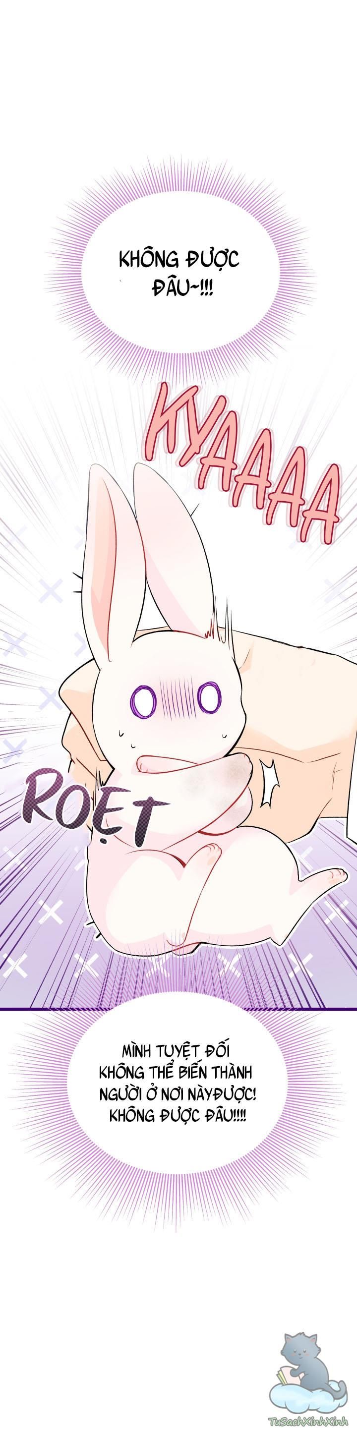 đọc truyện Mối Quan Hệ Cộng Sinh Giữa Báo Đen Và Thỏ Trắng Chương 35.5 ảnh 14 tại Thiên Thai Truyện