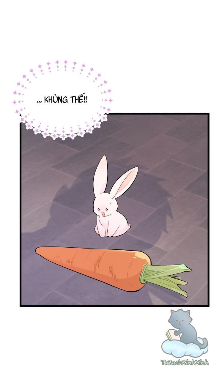 đọc truyện Mối Quan Hệ Cộng Sinh Giữa Báo Đen Và Thỏ Trắng Chương 35 ảnh 7 tại Thiên Thai Truyện