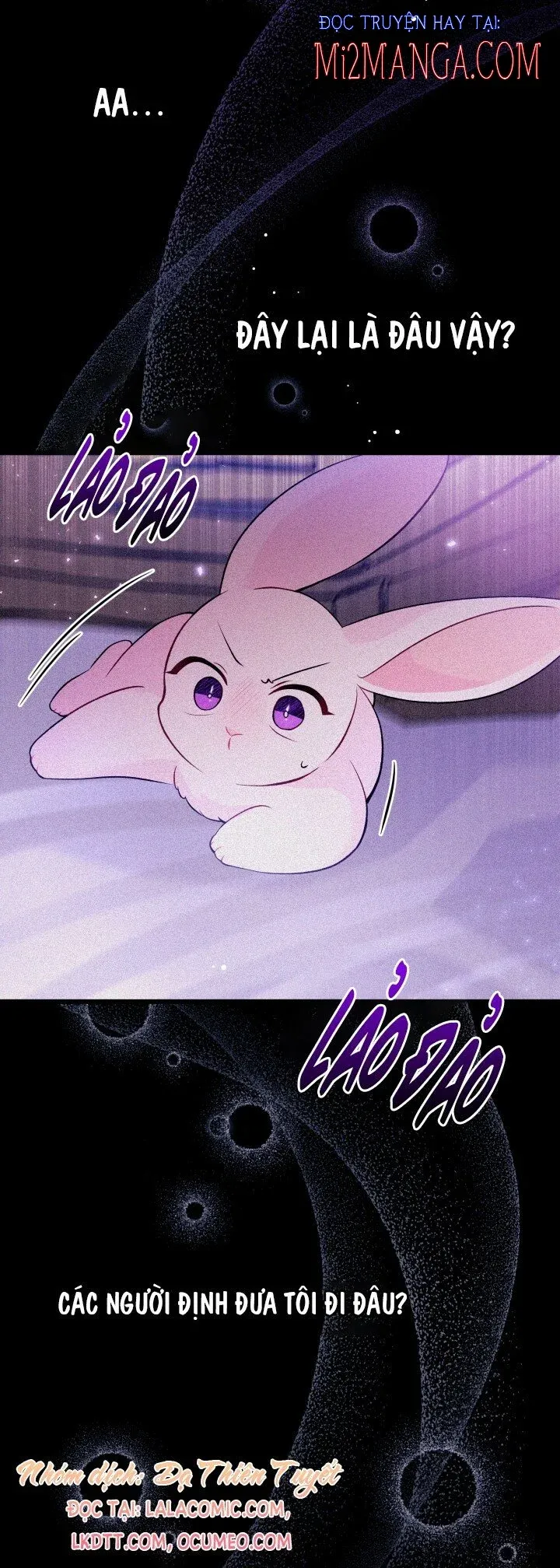 đọc truyện Mối Quan Hệ Cộng Sinh Giữa Báo Đen Và Thỏ Trắng Chương 39 ảnh 13 tại Thiên Thai Truyện