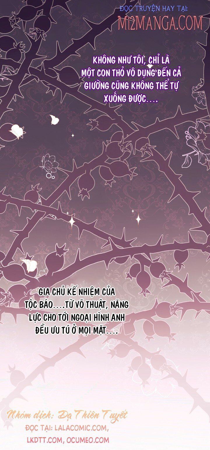 đọc truyện Mối Quan Hệ Cộng Sinh Giữa Báo Đen Và Thỏ Trắng Chương 39 ảnh 36 tại Thiên Thai Truyện