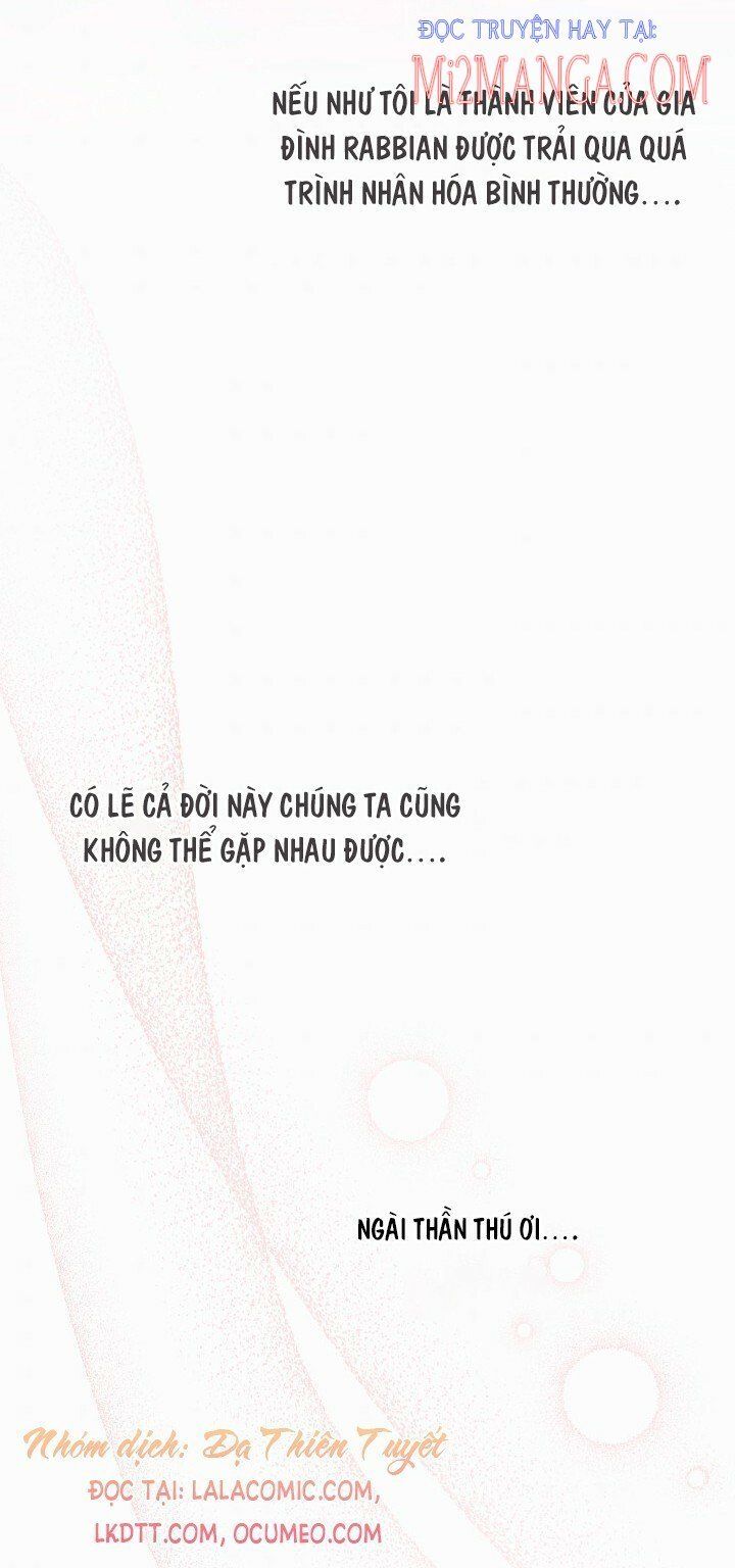 đọc truyện Mối Quan Hệ Cộng Sinh Giữa Báo Đen Và Thỏ Trắng Chương 39 ảnh 37 tại Thiên Thai Truyện