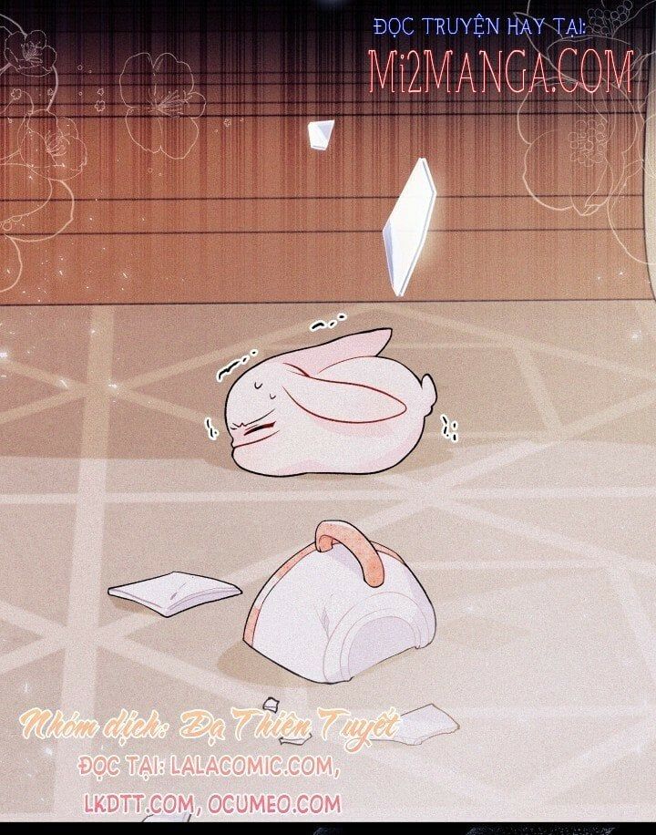 đọc truyện Mối Quan Hệ Cộng Sinh Giữa Báo Đen Và Thỏ Trắng Chương 39 ảnh 6 tại Thiên Thai Truyện